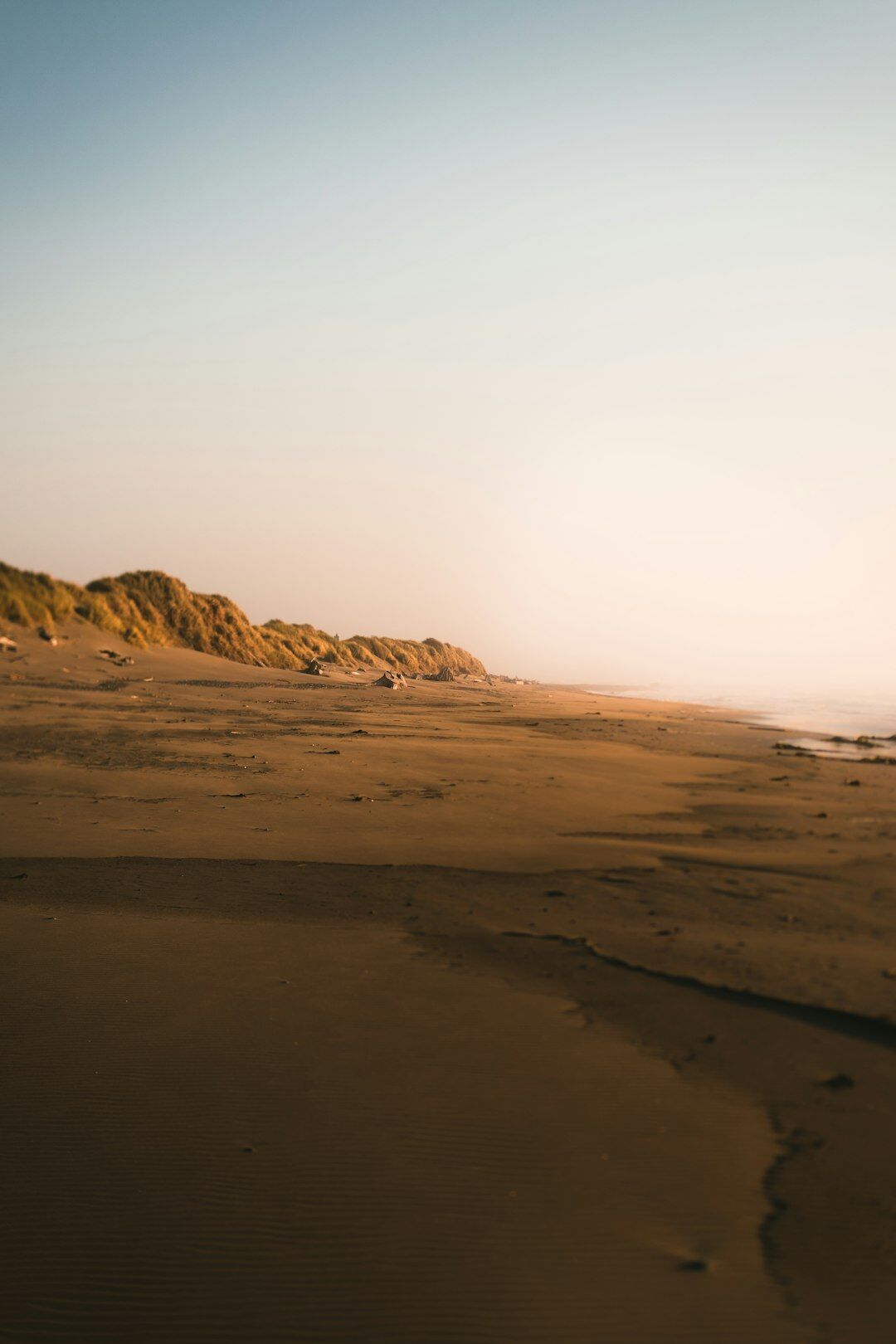 Empty sandy beach at sunset with soft golden light